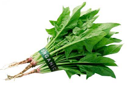 美容菜品第三号：菠菜